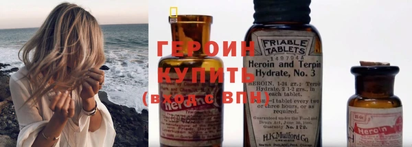 индика Богородицк