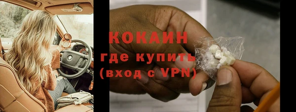 индика Богородицк