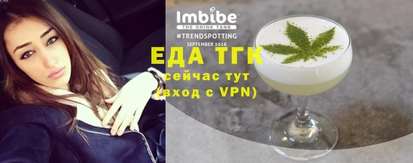 индика Богородицк