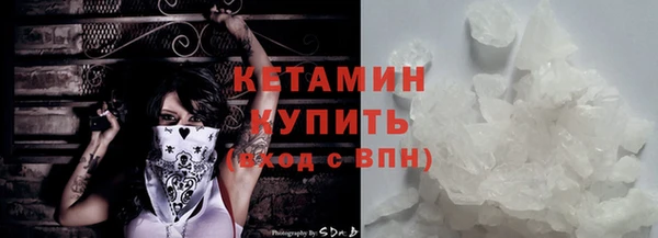 индика Богородицк