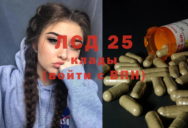 индика Богородицк