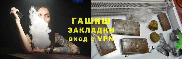 индика Богородицк