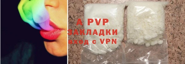 индика Богородицк