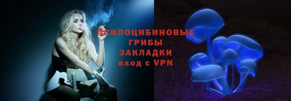 индика Богородицк