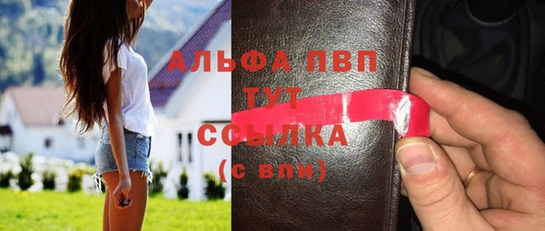 индика Богородицк