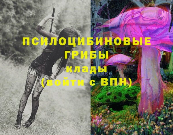 индика Богородицк