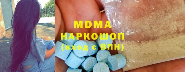 индика Богородицк