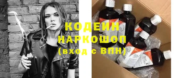 индика Богородицк