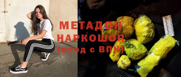 индика Богородицк