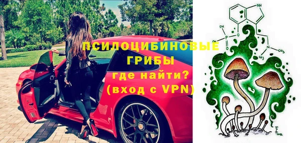 первитин Богородск